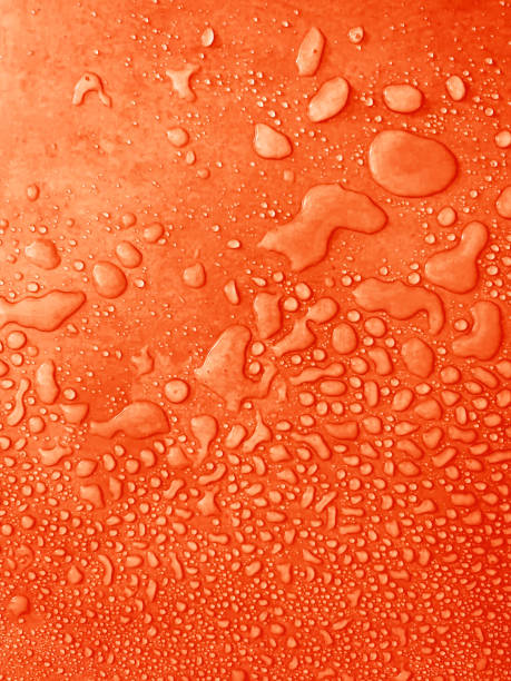 istock water drops of different sizes on a orange surface, drops texture, rain on orange tile, rain texture, red refreshing background, amber wet textured, fresh orange 1427339525