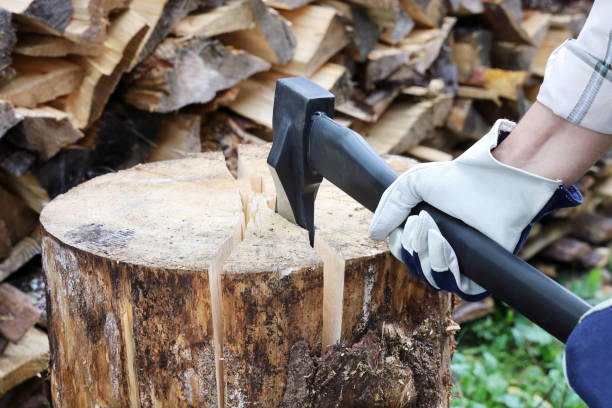 istock Hands in protective gloves hold ax for cracking firewood, hit for splitting into pieces 1427344667