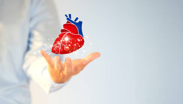 istock Cardiologist doctors use a virtual interface to examine the patient's heart functions and blood vessels. Medical technology and healthcare treatment to diagnose heart disorders. 1427346659