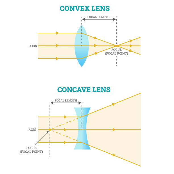 3,900+ Concave Convex Stock Photos, Pictures & Royalty-Free Images