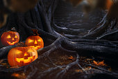 Jack O’ Lanterns Halloween pumpkins glowing in dark between ugly tree roots