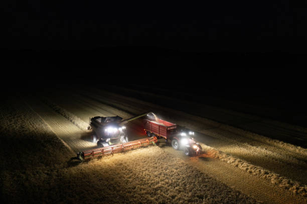 istock Combine harvester in a field at night 1427362027