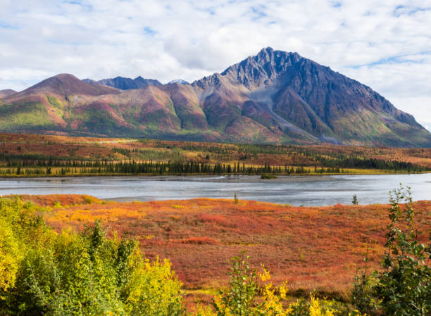 istock Autumn Landscape in Alaska Wilderness 1427363797