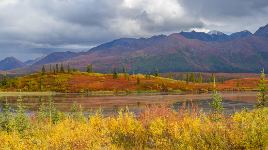 Wilderness autumn colors photographed at the Denali Highway in Alaska