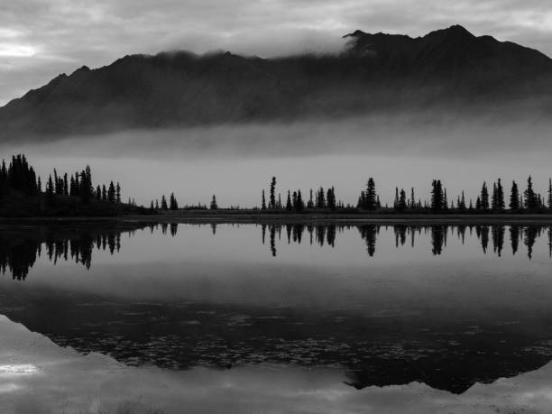 istock Monotone Landscape in Alaska Wilderness 1427366611