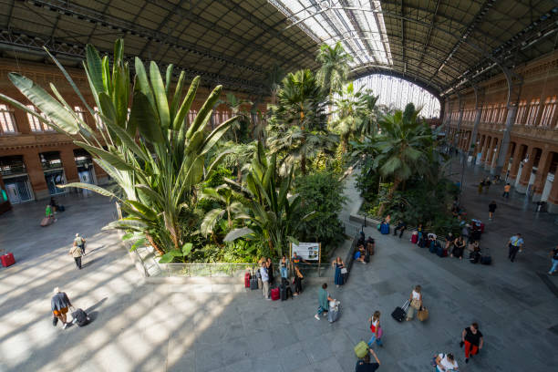 Interior view of Atocha railway station in Madrid, Spain.