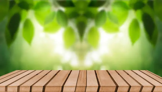 Empty hardwood table with blurred green lush foliage background. Ideal as product display on top of the table. Focus on foreground.