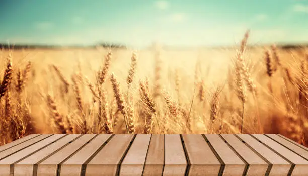 Neat wooden picnic tabletop set against landscape wheat field beautiful nature sunset background.