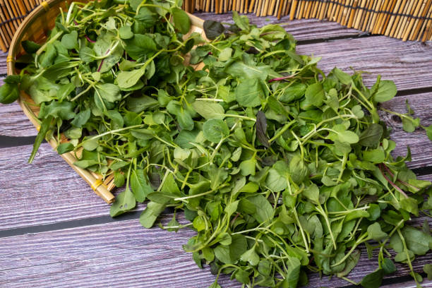 istock sprouted vegetables one of the salad ingredients 1427378189