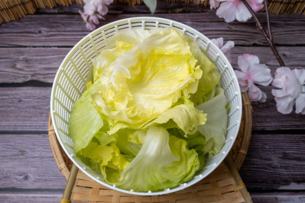 istock Lettuce one of the salad ingredients 1427378194