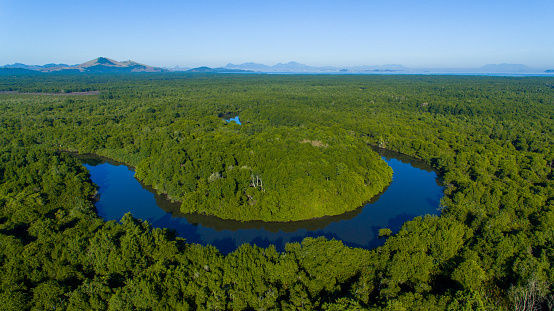 The Guapimirim protected area preserves the largest mangrove swamp in Latin America and helps maintain the biodiversity and life of Guanara Bay, the postcard of Rio de Janeiro