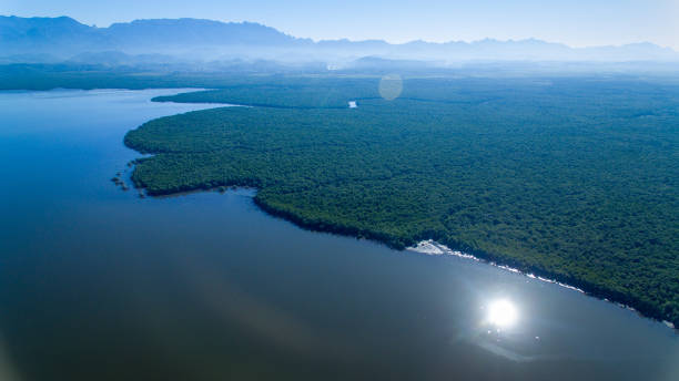 The Guapimirim protected area preserves the largest mangrove swamp in Latin America and helps maintain the biodiversity and life of Guanara Bay, the postcard of Rio de Janeiro stock photo