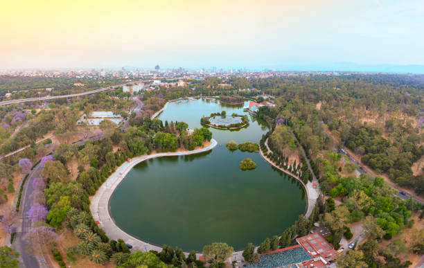 lago mayor del bosque de chapultepec - metropolis building fotografías e imágenes de stock