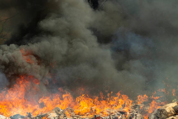 istock Black smoke and fire. Fire in forest. Burning of garbage. 1427384287