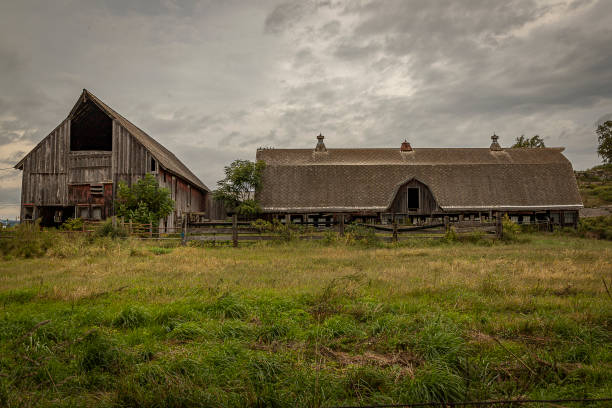 istock Abandoned barn in New Jersey 1427388386