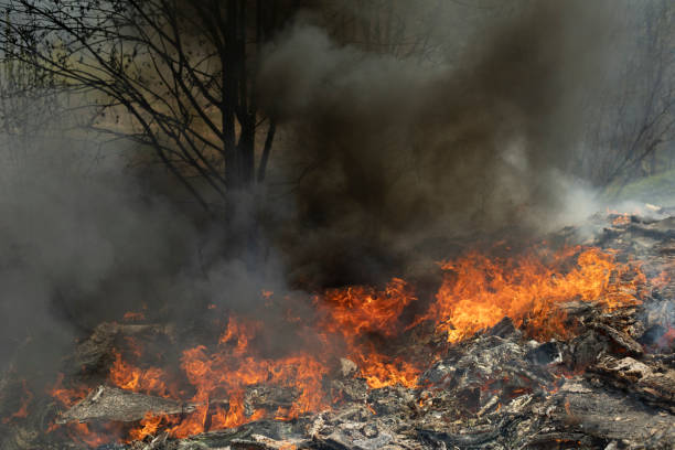 istock Fire and black smoke. Fire in landfill. Smoke in forest. Illegal landfill. 1427389059