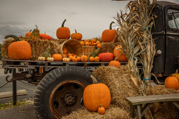 istock Fall decorations on an antique truck 1427392698