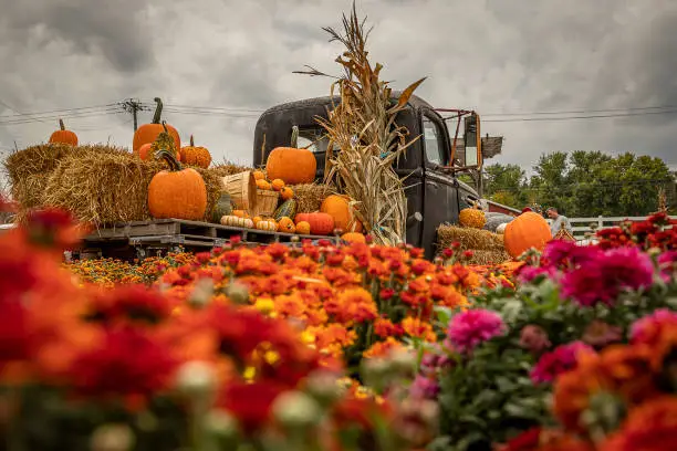 Photo of Fall decorations on an antique truck