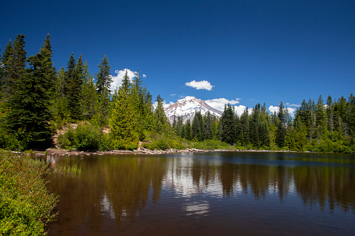Arapaho and Roosevelt National Forests