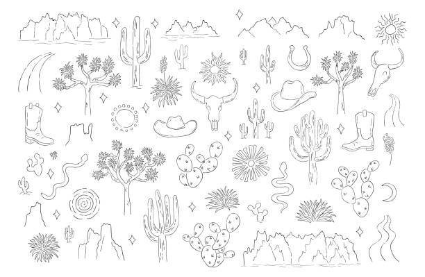 desert line art рисованные векторные элементы набор - desert cactus mexico arizona stock illustrations