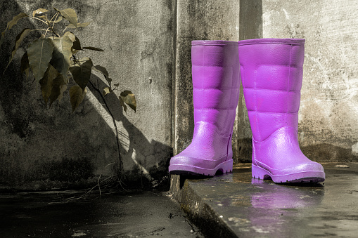 Pair of Purple rubber rain boot with old bare cement wall background. Space for text, Selective focus.