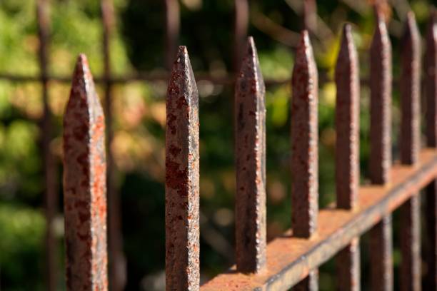 istock Single picket in rusty wrought iron picket fencecorner in low angle sunlight 1427401783