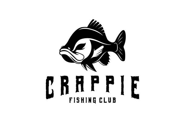 Crappie fish fishing emblem, jumping fish design template vector illustration. great to use as your any fishing company emblem Crappie fish fishing emblem, jumping fish design template vector illustration. great to use as your any fishing company emblem crappie stock illustrations