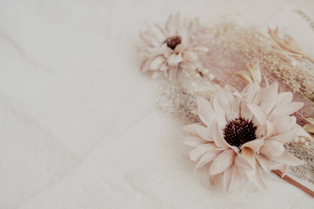 istock vintage style natural dried flower background 1427404596
