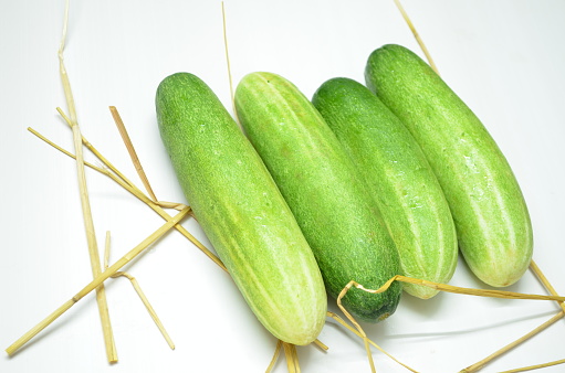 Cucumber, cucumis sativus, creeping plant of the gourd family Cucurbitaceae, widely circulated for its edible fruit. It is popular salads and relishes. Low nutritional value. Delicate flavour. India.
