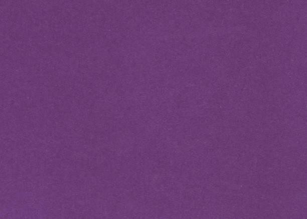 istock Purple rustic texture. High quality texture in extremely high resolution. Dark purple grunge material. Texture background. Scrapbook 1427428760