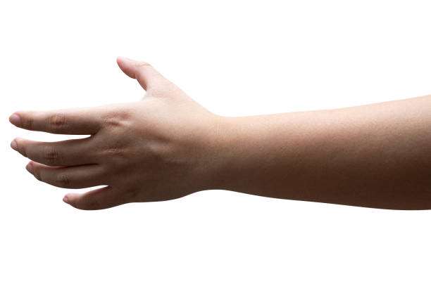 istock Women hand reach and ready to help or receive. Gesture isolated. 1427431316