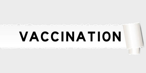 istock Ripped gray paper background that have word vaccination under torn part 1427435829