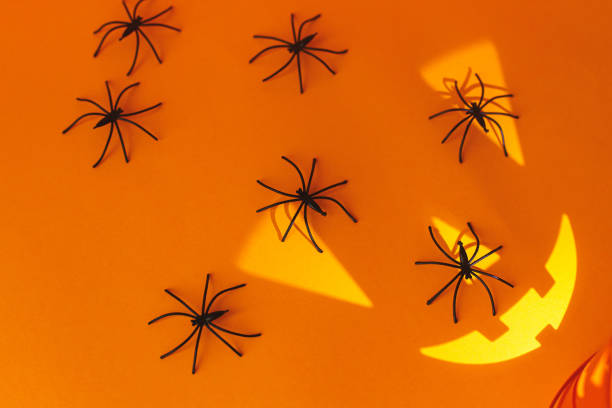 istock Happy Halloween! Black spiders decorations with spooky jack o lantern face on orange background. Creative Halloween composition. Trick or treat! space for text 1427445798