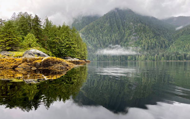 Lowe Inlet is a small fiord off the Inside Passage and well travelled marine highway.