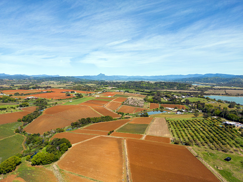 Fertile farmland with red volcanic soil in northern New South Wales, Australia