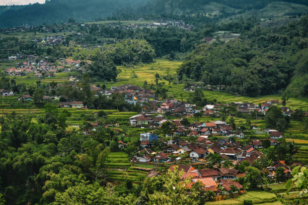 istock Village in the middle of rice fields 1427456174