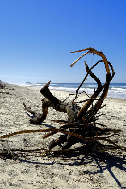 istock Manning Point, NSW, Australia 1427456686