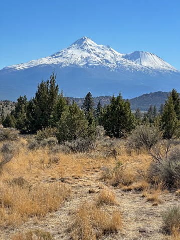 Mount Shasta seen from the north towering above chaparral of lower elevations. It's satellite cone, Shastina, is to the right. In September.