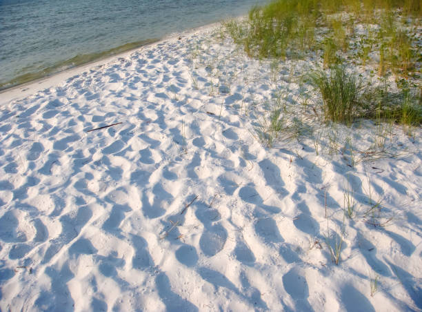 July afternoon exploring a barrier island near the Alabama Florida state line, between Intracoastal Waterway and East Mouth of Old River, between Orange Beach, Alabama & Pensacola, Florida
