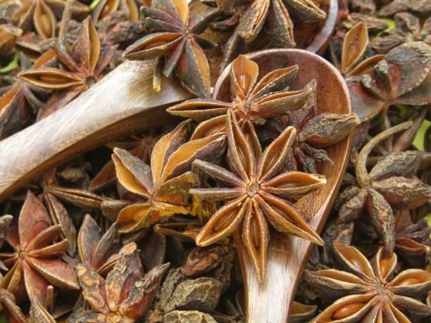 istock Star anise close-up view 1427461034