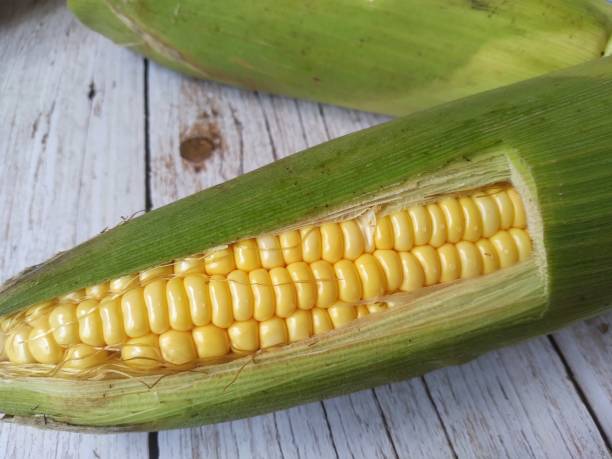 istock Sweet corn on a wooden background 1427461651