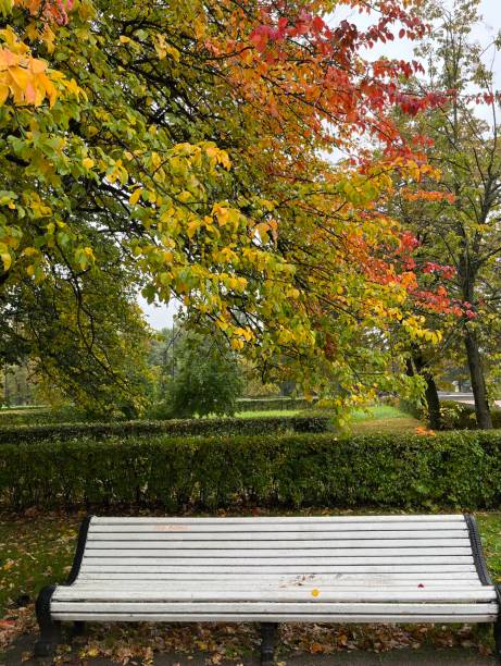 istock Autumn in the park 1427463680