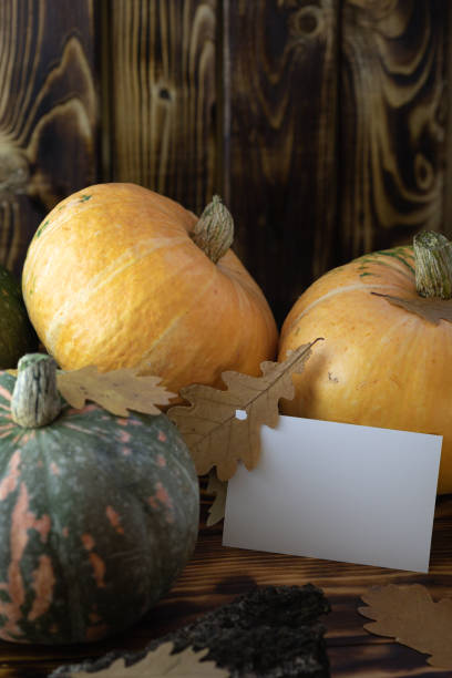 istock Fall Background with Pumpkins. Autumn background with pumpkins on rustic background, selective focus 1427464375
