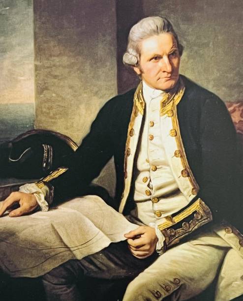 Captain Cook Illustration from 19th century. man sitting alone drawing stock illustrations