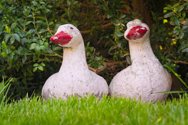 istock Goose -shaped cement garden decorations 1427475181
