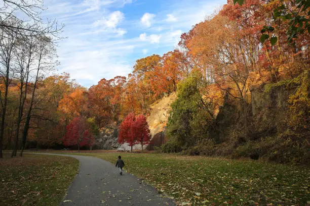 The rock-climbing wall at Alapocas Run State Park, Wilmington, Delaware, USA in the colorful fall