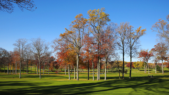 The beautiful scenery of a golf course in a country club in fall in Wilmington, Delaware, USA