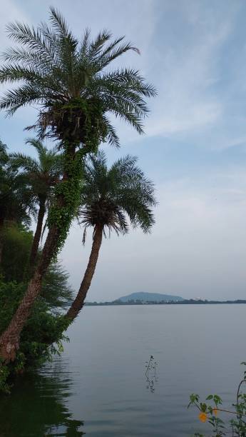 istock Bilawli lake Indore 1427475413