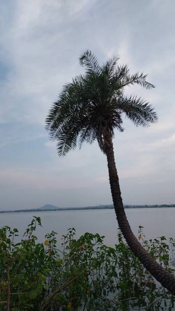 istock Bilawli lake Indore 1427475425