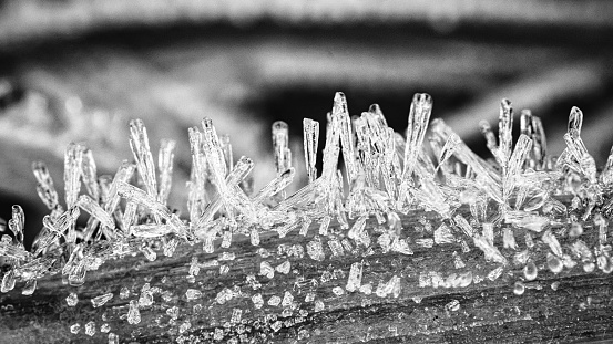 Ice crystals in black and white, on a blade of grass in winter. Close up of frozen water. Macro shot from nature